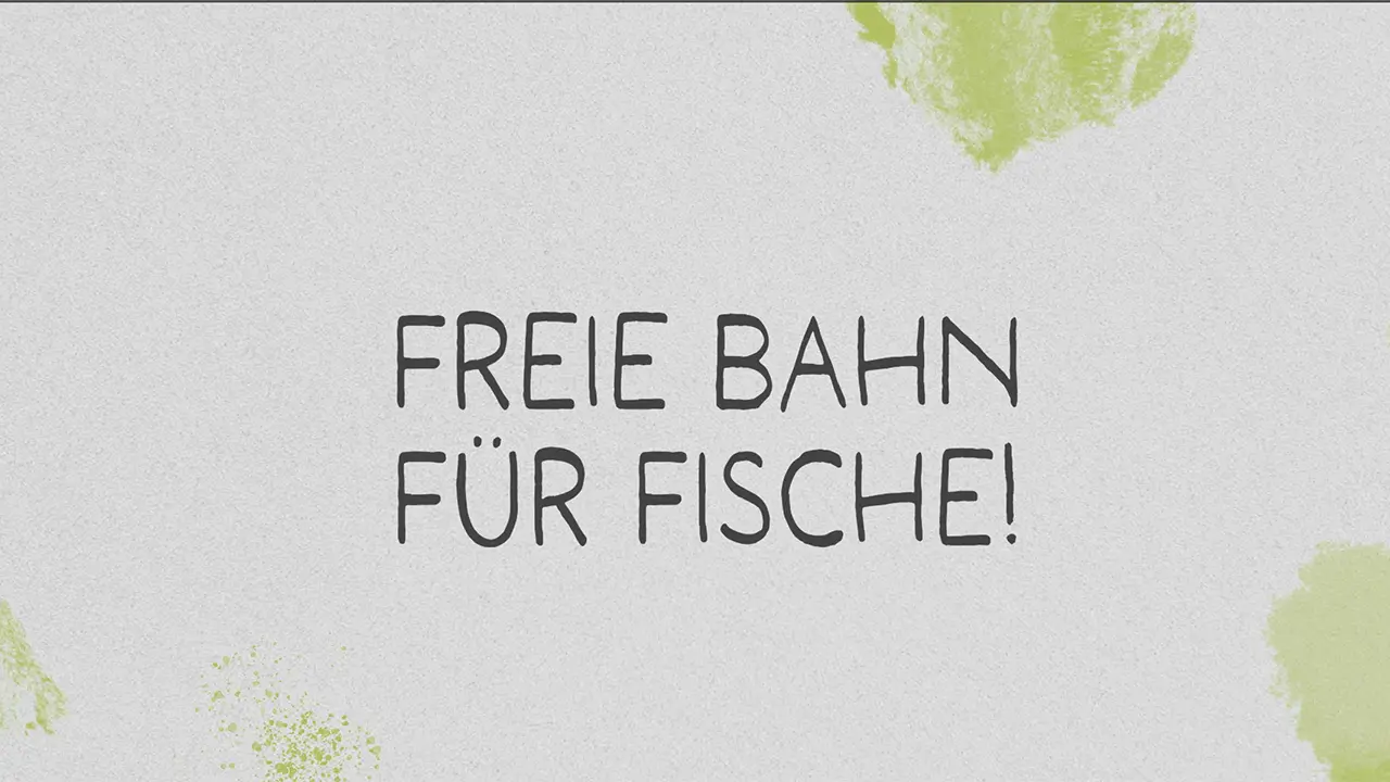 Lachserlebnispfad Murgtal - Das Esselwehr