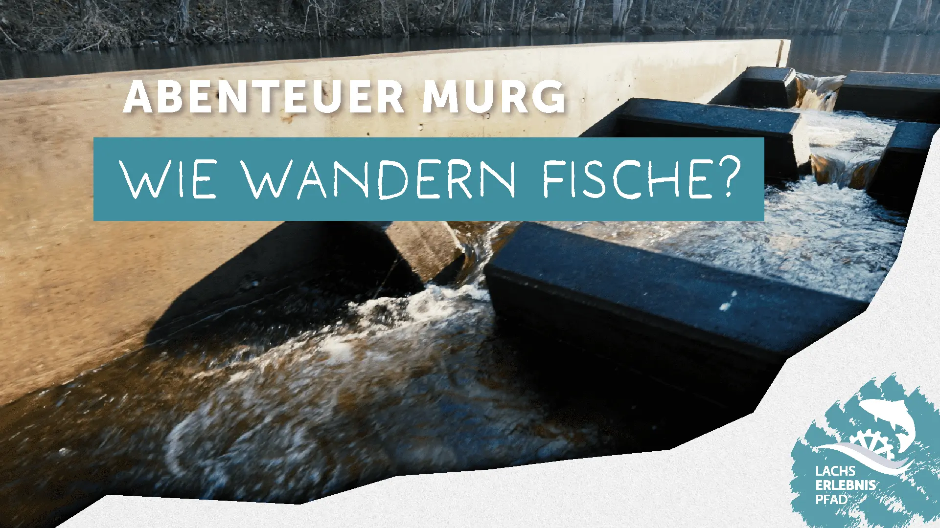 Lachserlebnispfad Murgtal - Wie wandern Fische?