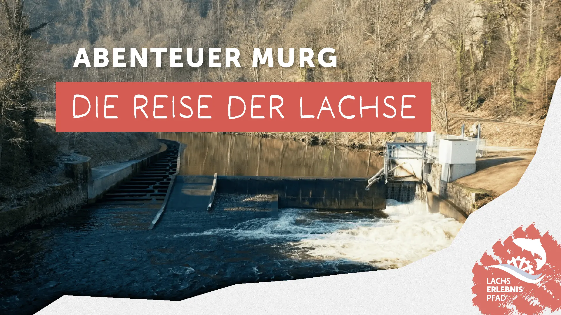 Lachserlebnispfad Murgtal - Fischschutz und Abstieg