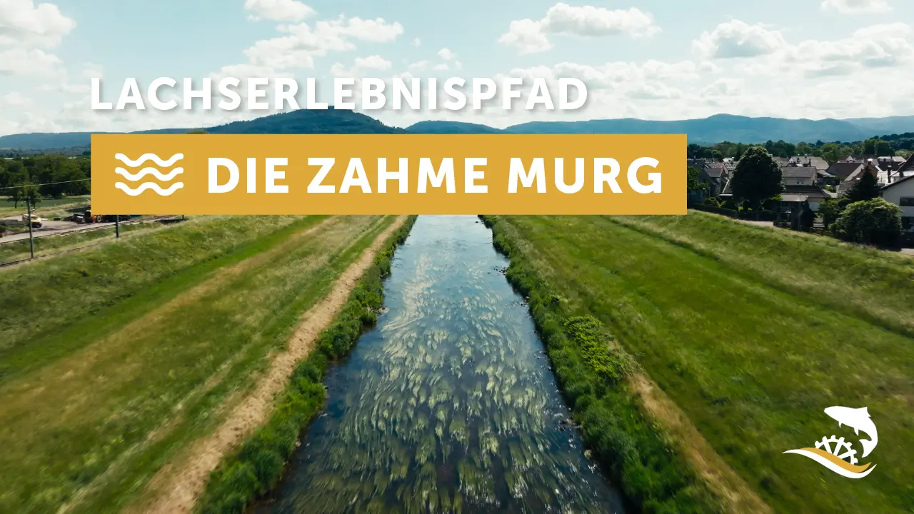 Lachserlebnispfad Murgtal - Die zahme Murg