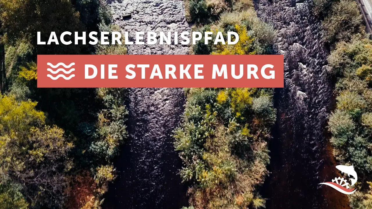 Lachserlebnispfad Murgtal - Die starke Murg