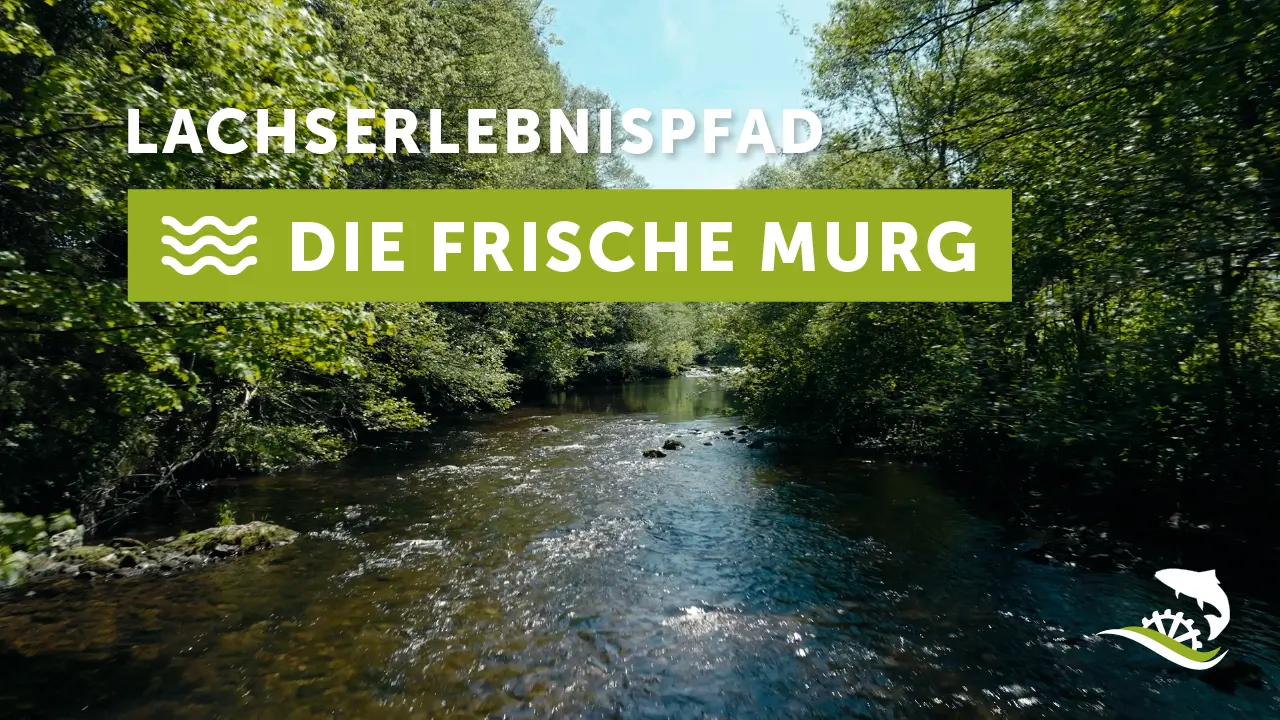 Lachserlebnispfad Murgtal - Die starke Murg