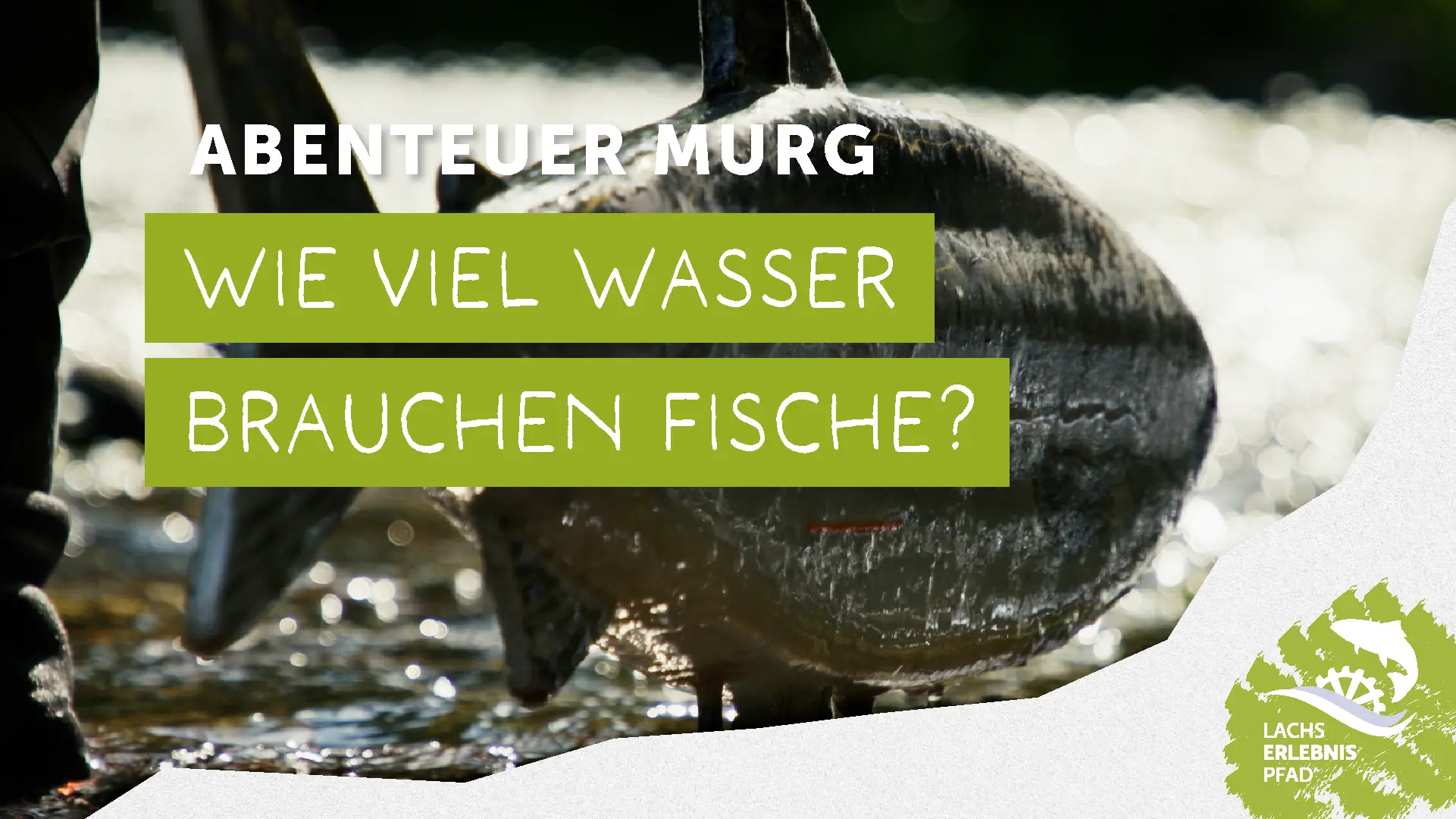 Lachserlebnispfad Murgtal - Mindestabfluss